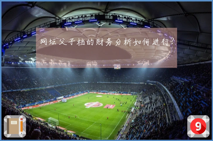 网坛父子档的财务分析如何进行？