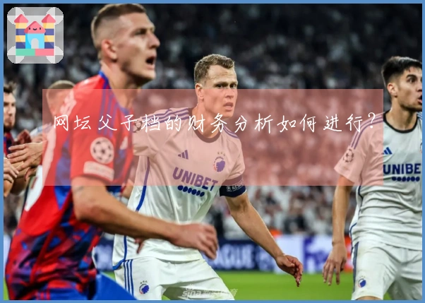 网坛父子档的财务分析如何进行？